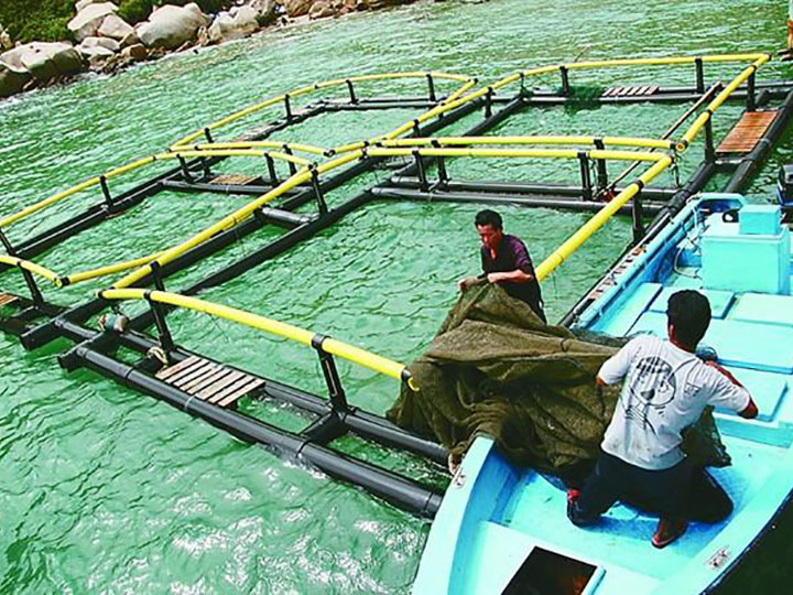 �B(y��ng)ֳ�W��