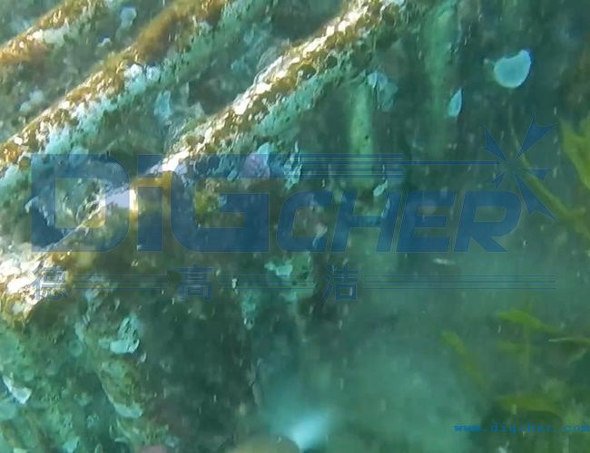 ˮ���B(y��ng)ֳ�W(w��ng)����ϴ���g